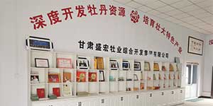 甘肃盛宏牡业综合开发产业集团有限公司（原临夏市河州紫斑牡丹综合开发产业集团公司）成立于2006年，现有总资产1620万元，占地面积20亩，其中建筑面积3000平方米（生产车间、产品展示大厅、冷冻、冷藏、保鲜库、温室大棚等）。