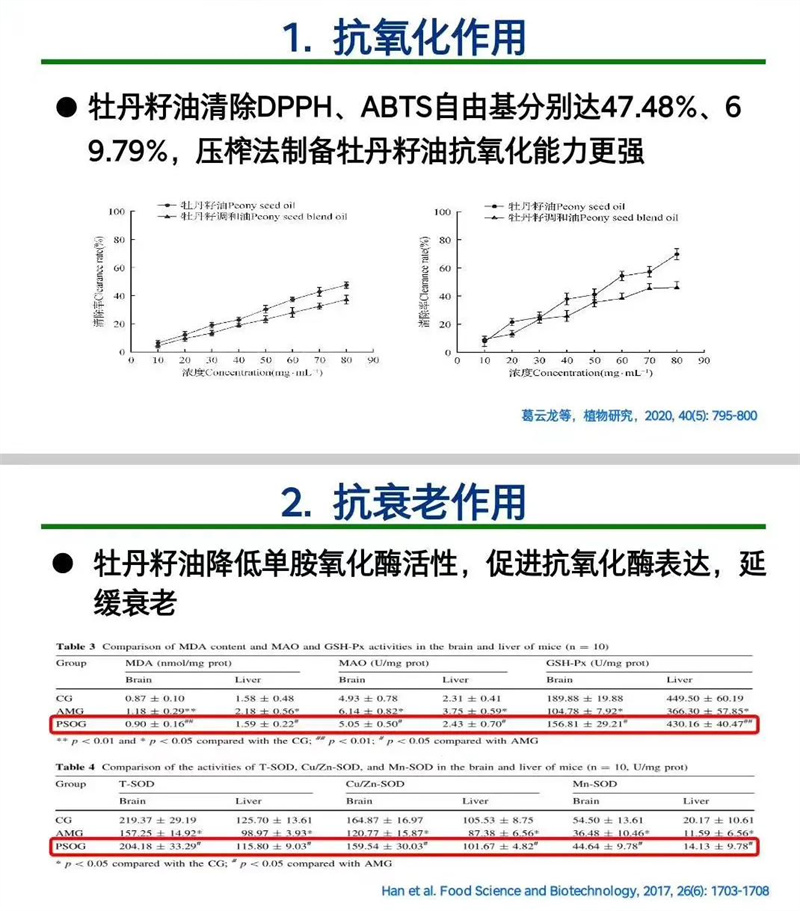 d38a9449a04a4ac0927200bbfe131742.jpg